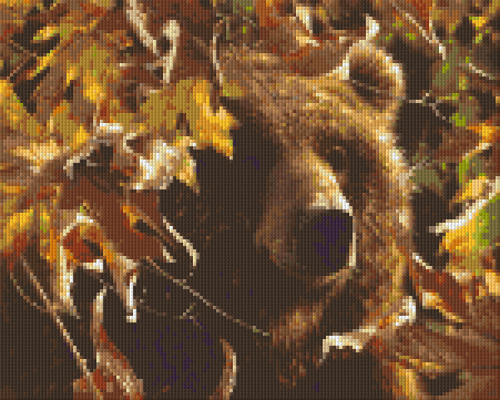 Pixel Hobby Classic Set - Grizzly