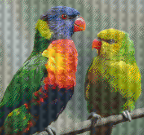 Pixelhobby Klassik Vorlage - 2 Papageien
