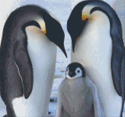 Pixelhobby Classic Set - King Penguins