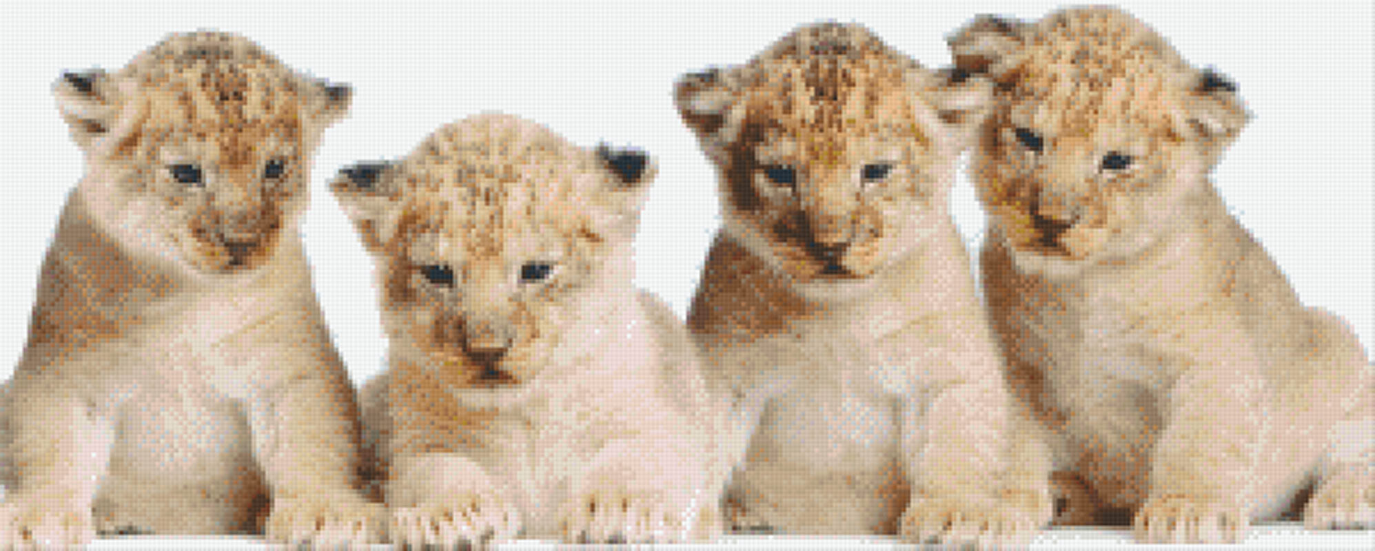 Pixelhobby Klassik Set - vier Baby Tiger