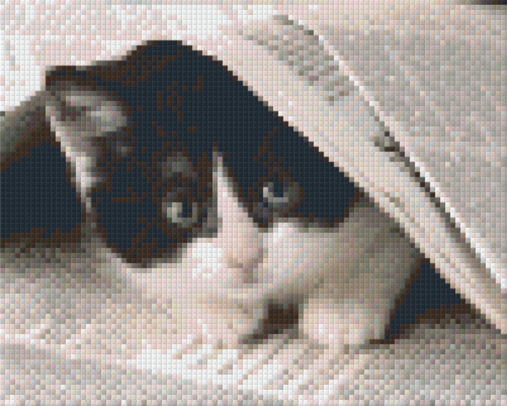 Pixelhobby classic set - newspaper cat