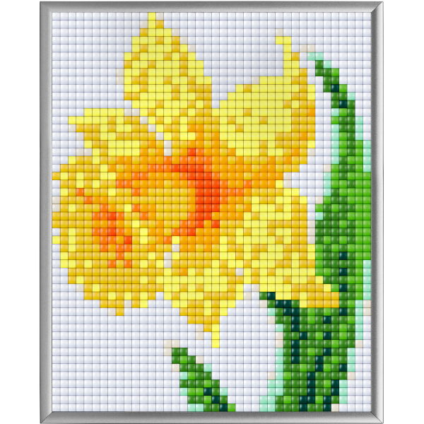 Pixelhobby XL 4BP Set - Daffodil