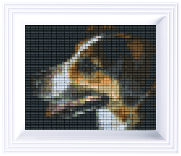 Pixelhobby Classic Gift Set - Dog