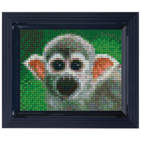 Pixelhobby Classic Gift Set - Squirrel Monkey