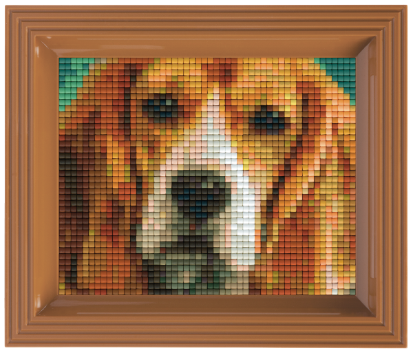 Pixelhobby Klassik Geschenkset - Beagle