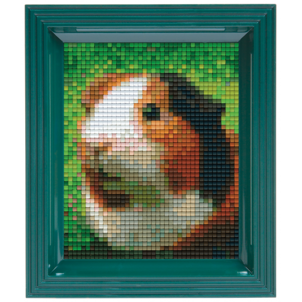 Pixelhobby Klassik Geschenkset - Meerschweinchen