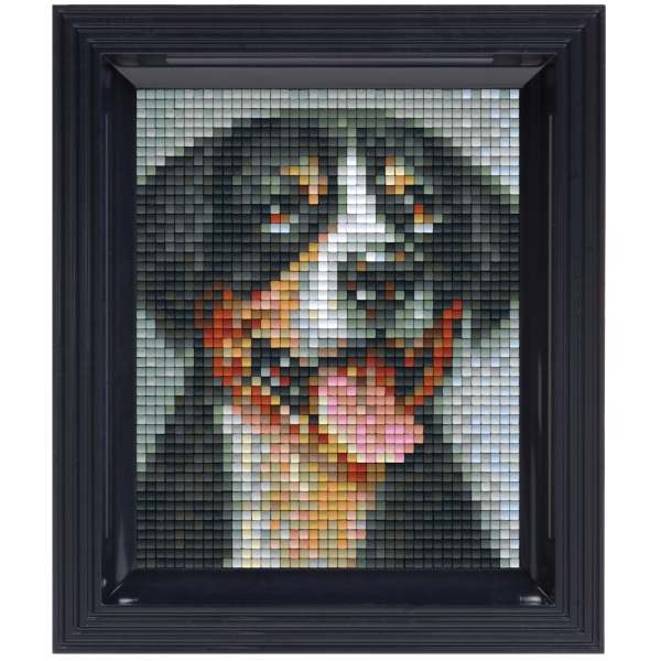 Pixelhobby Klassik Geschenkset - Schweizer Sennenhund