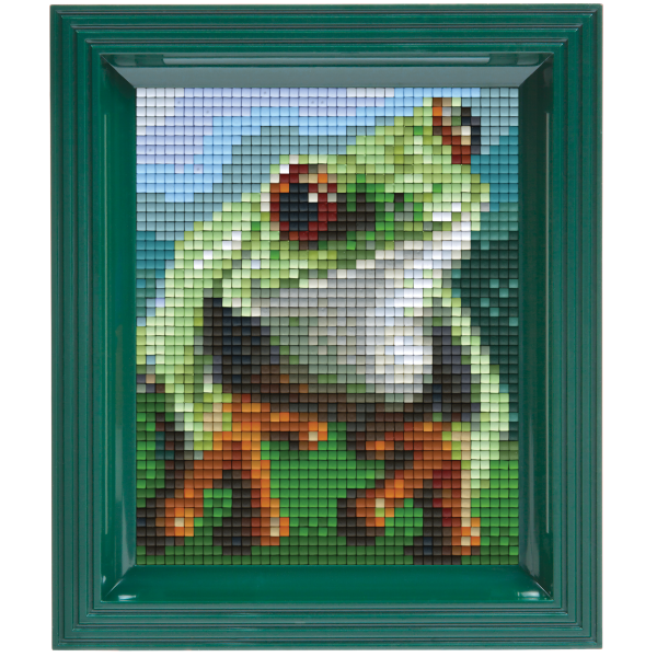 Pixelhobby Klassik Geschenkset - Frosch
