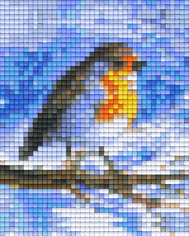 Pixel Klassik Set - Vögel