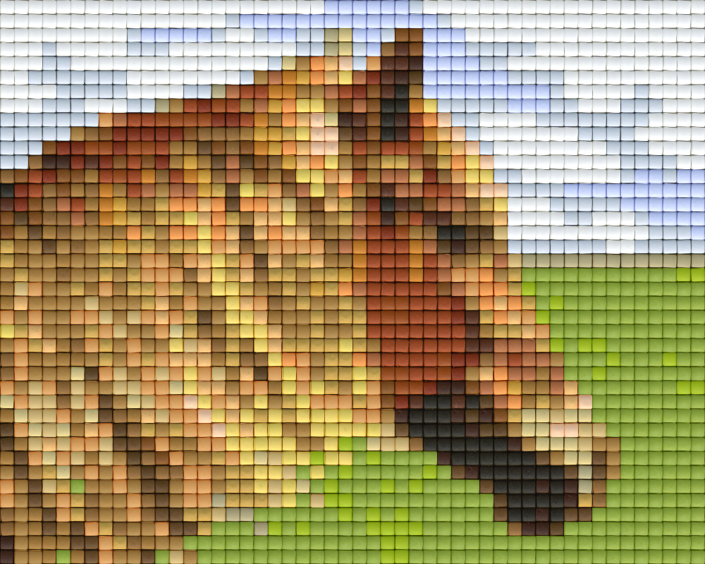 Pixel Klassik Set - Pferdekopf