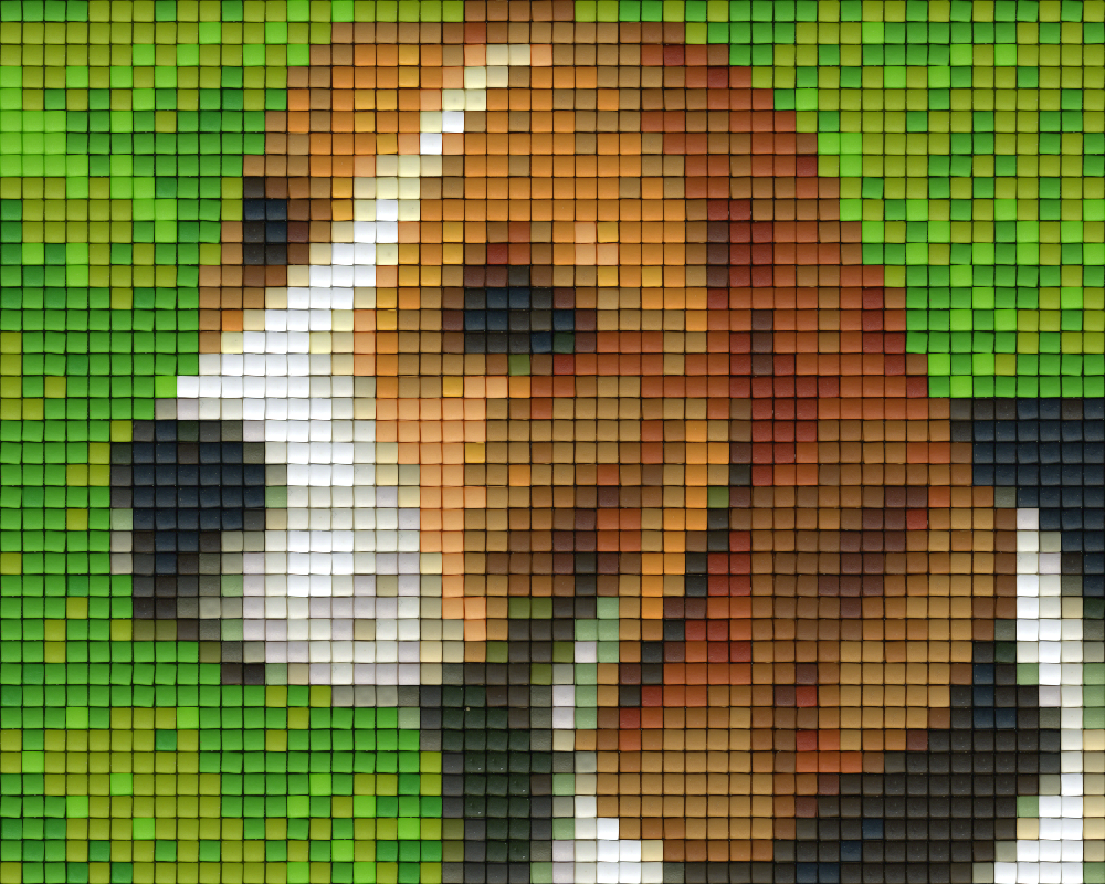Pixel hobby classic template - American Foxhond