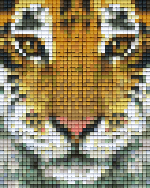 Pixel Klassik Set - Tiger