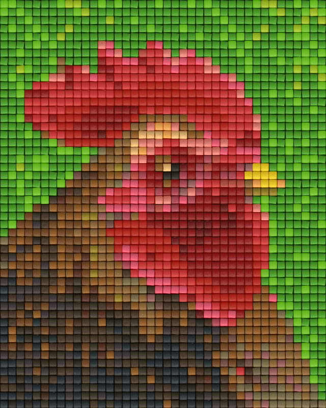 Pixel hobby classic template - rooster