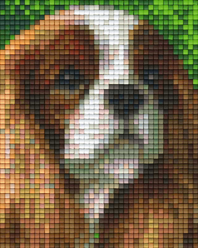 Pixel hobby classic template - cocker spaniel