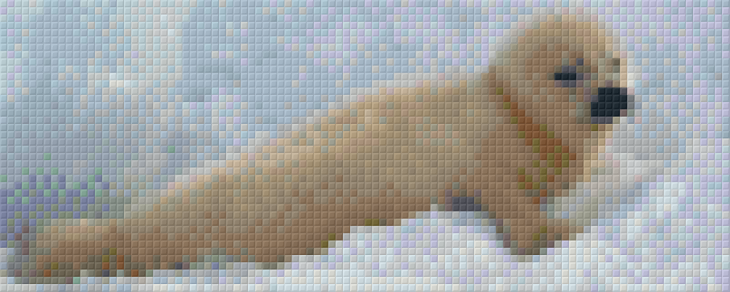 Pixel hobby classic set - baby sea lion