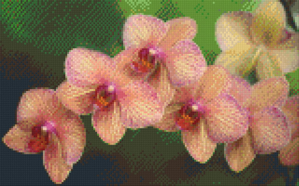 Pixel hobby classic set - orchid