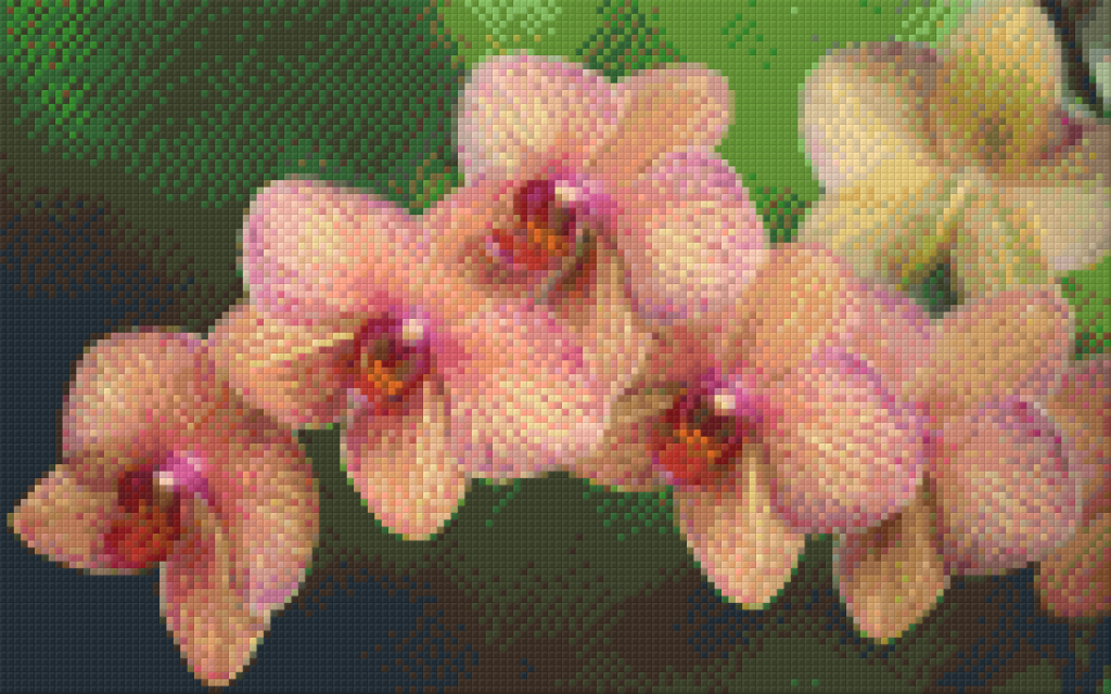 Pixelhobby Klassik Vorlage - Orchidee